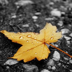 高清乱码🔞❌♋毛片软件
