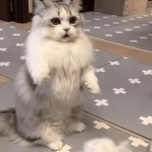 高清乱码🔞❌♋毛片软件
